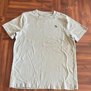 Abercrombie & Fitch Light Sage Crew Neck Tee